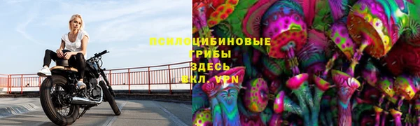 крисы Алексин