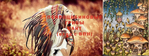 ПСИЛОЦИБИНОВЫЕ ГРИБЫ Алексеевка