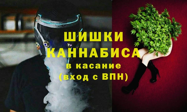крисы Алексин
