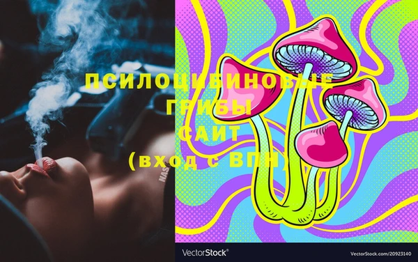 ПСИЛОЦИБИНОВЫЕ ГРИБЫ Алексеевка