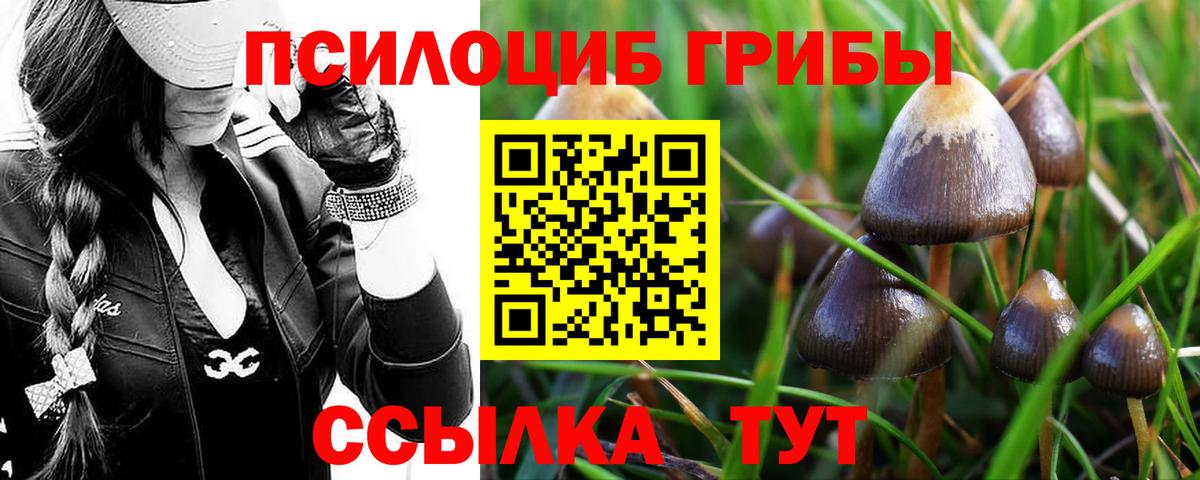 Галлюциногенные грибы Psilocybine cubensis  Вход с VPN  цены наркотик  Нижний Новгород 