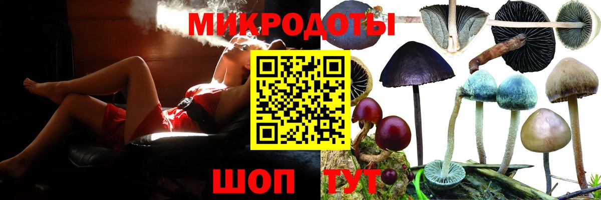 Псилоцибиновые грибы Psilocybine cubensis Нижний Новгород